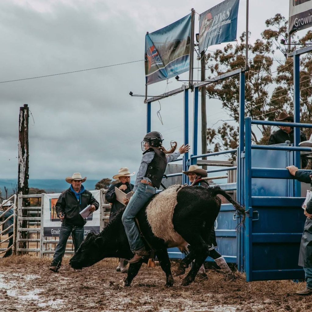 Texas Show rodeo