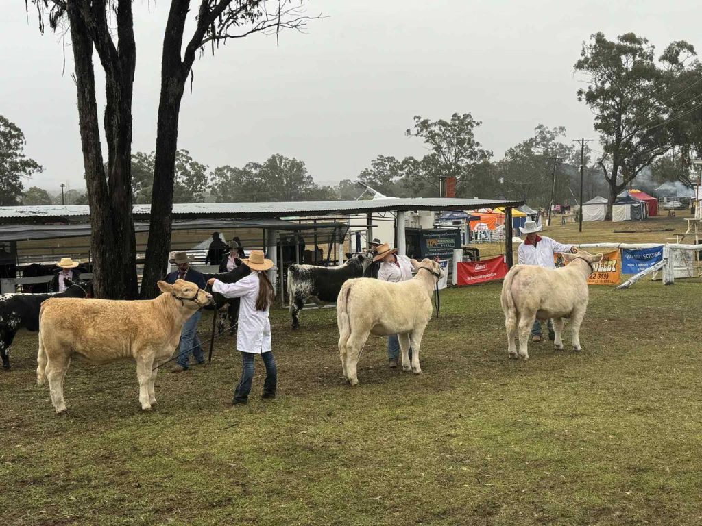 Texas Show